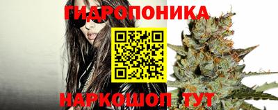 ALPHA PVP Тулун