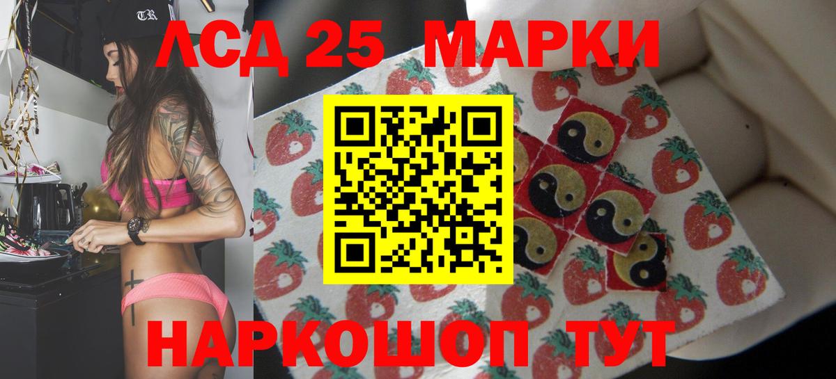 Лсд 25 экстази  ЛСД экстази кислота  Вход с VPN  Лсд 25 экстази кислота  Бердск 